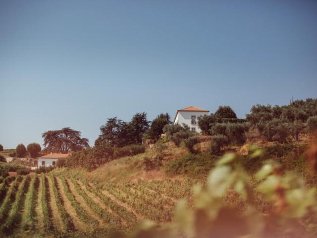 Hotel Rural Casa Dos Viscondes Da Varzea Lamego Exterior foto